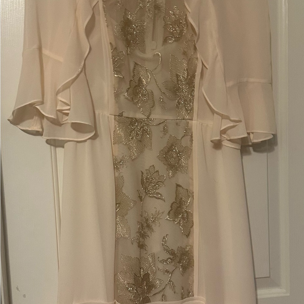 BCBG Max Azria Nude & Gold Embroidered Chiffon Dress | Size 2 - Picture 3 of 6